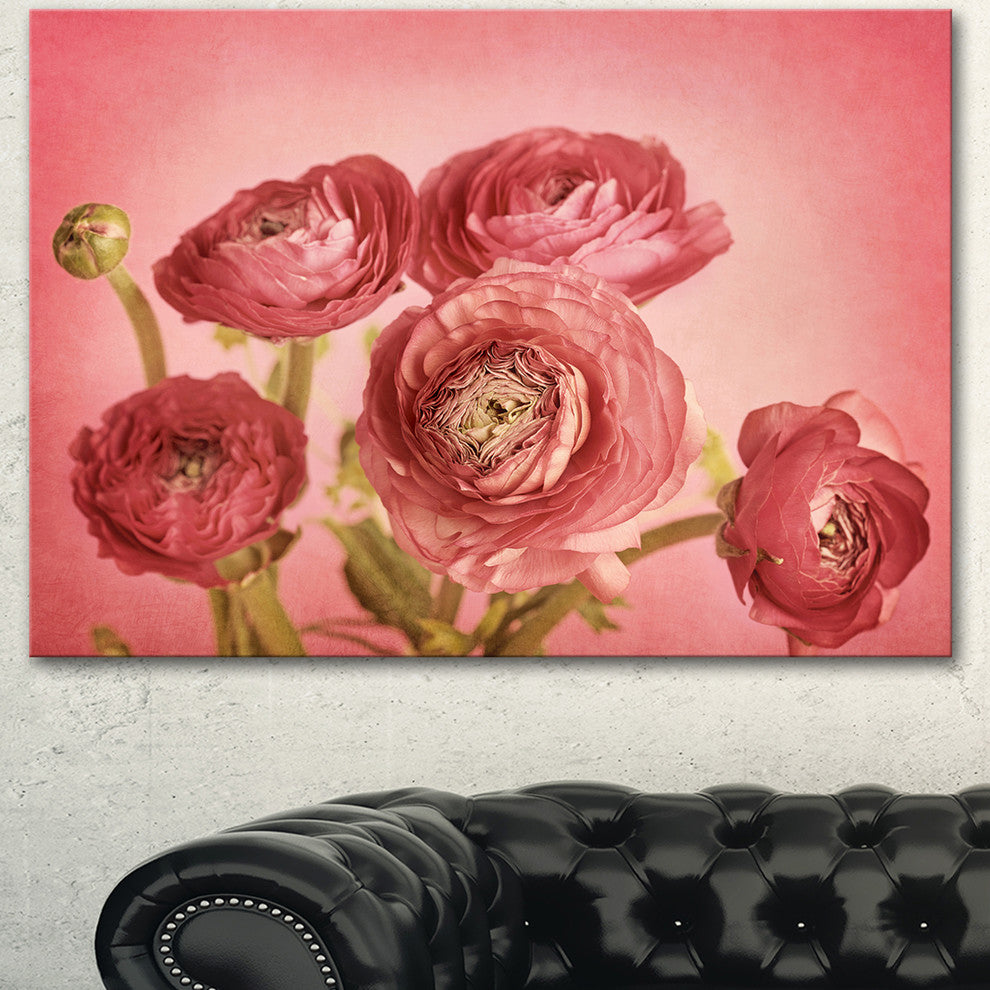 Bunch of Ranunculus Flowers on Pink, Floral Canvas Art Print, 40"x30"
