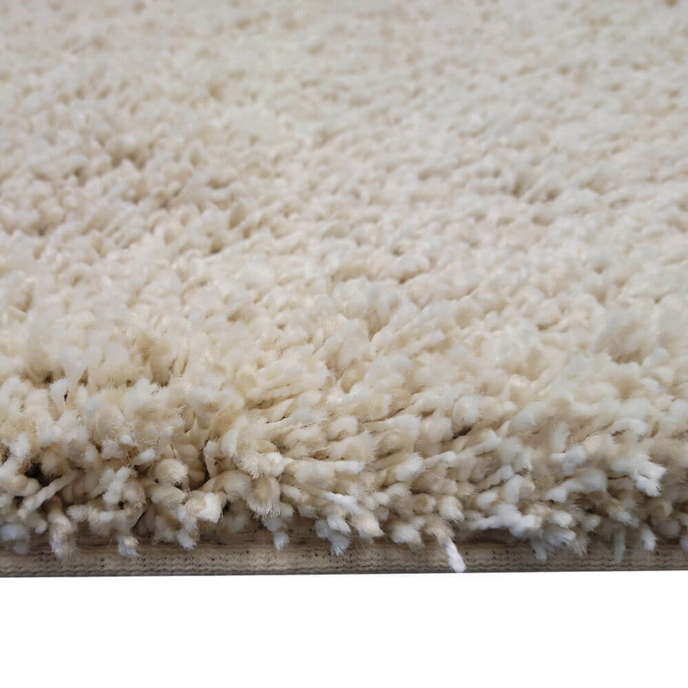 Carolina Shag Indoor Area Rug Carpet Collection, Seaglass, 4x6