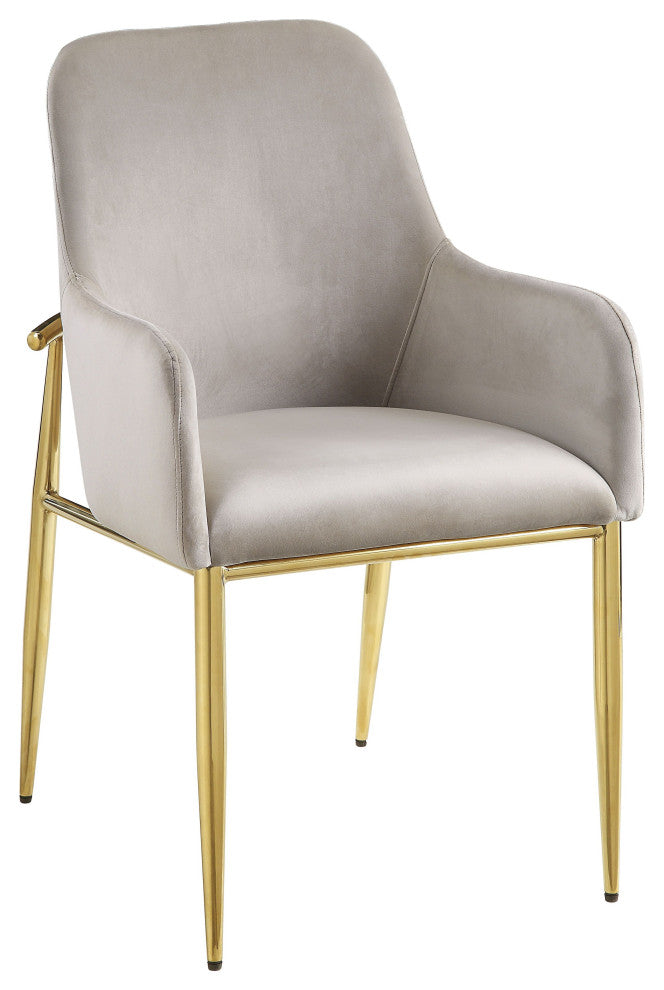 ACME Barnard Side Chair, Set of 2, Gray Velvet and Mirrored Gold