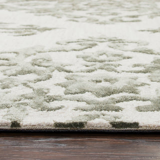 Eden Harbor EH110A Light Gray Ornamental Area Rug, Rectangular 5'x8'