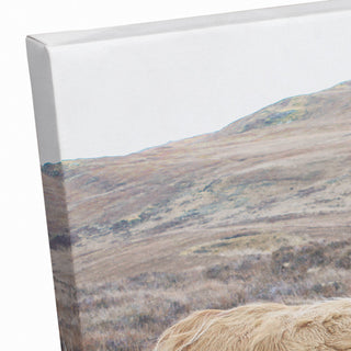 Highland Cow Landscape 18 x 12 Canvas Wall Art
