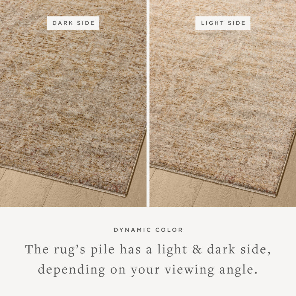 Loloi Newman Wheat / Natural 3'-11" x 5'-7" Area Rug