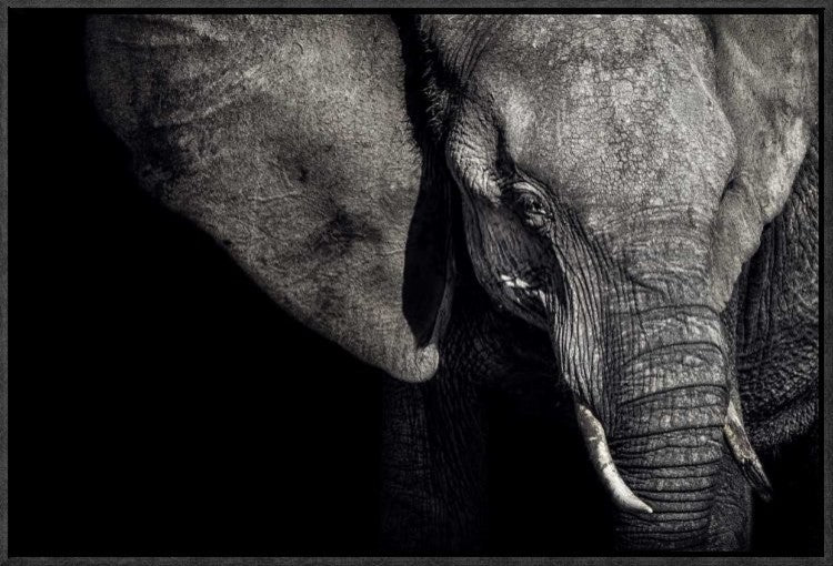 "The Matriarch" Framed Canvas Giclee by Piet Flour, 23x16"