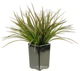 D&W Silks Brown / Green Grass in Square Black Ceramic Planter
