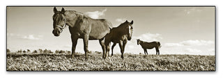 'Kentucky Horses' Canvas Art by Preston