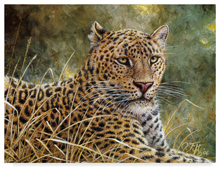 Jeff Tift 'Leopard Portrait' Canvas Art, 47"x35"