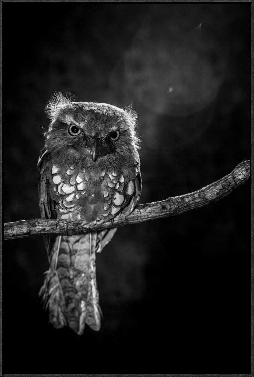 "Alone In The Night" Framed Canvas Giclee by Wilianto, 25x37"