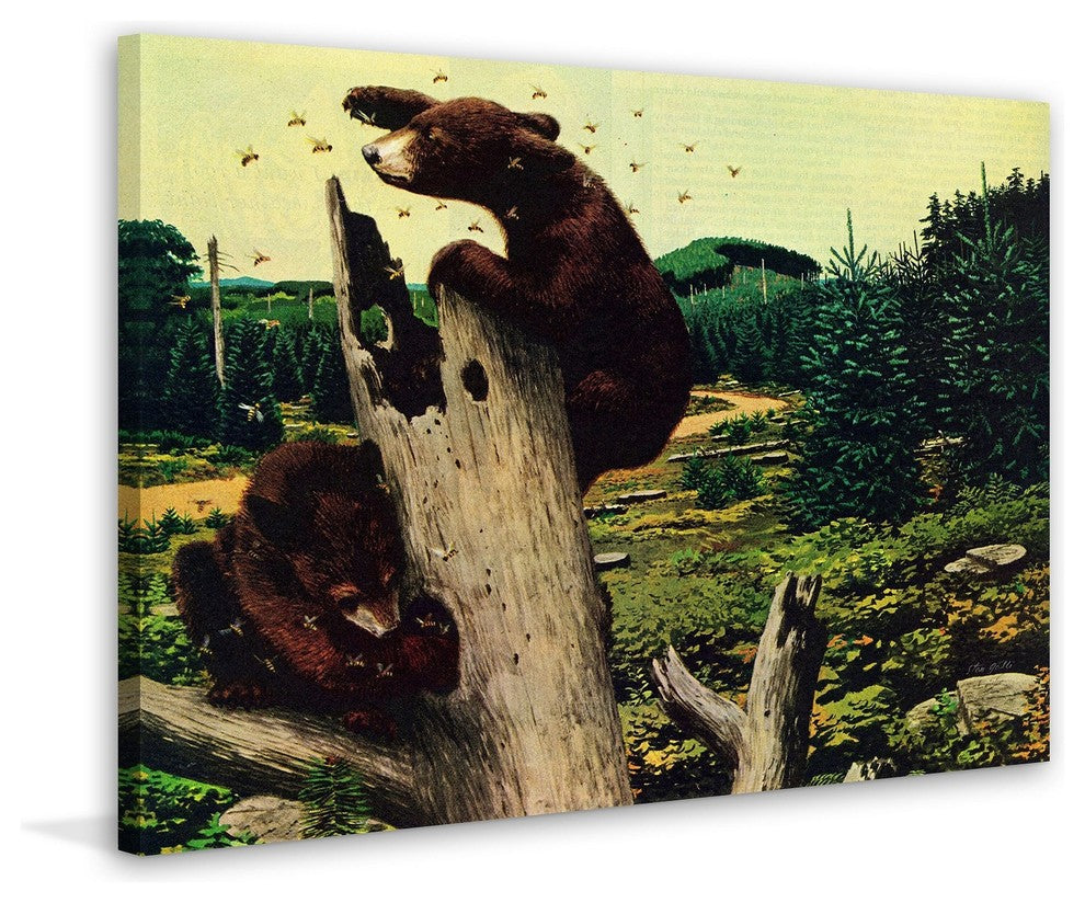 "Honey Bears" Painting Print on Wrapped Canvas