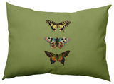 Butterflies Polyester Indoor Pillow, Apple Green, 14"x20"