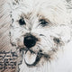 Leonardo's Dogs Cairn Terrier Dog Pillow