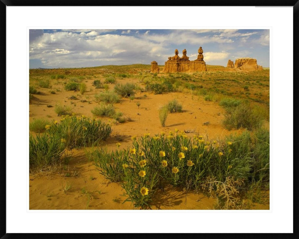 "The Three Judges, Goblin Valley State Park, Utah"  by Tim Fitzharris, 40x32"