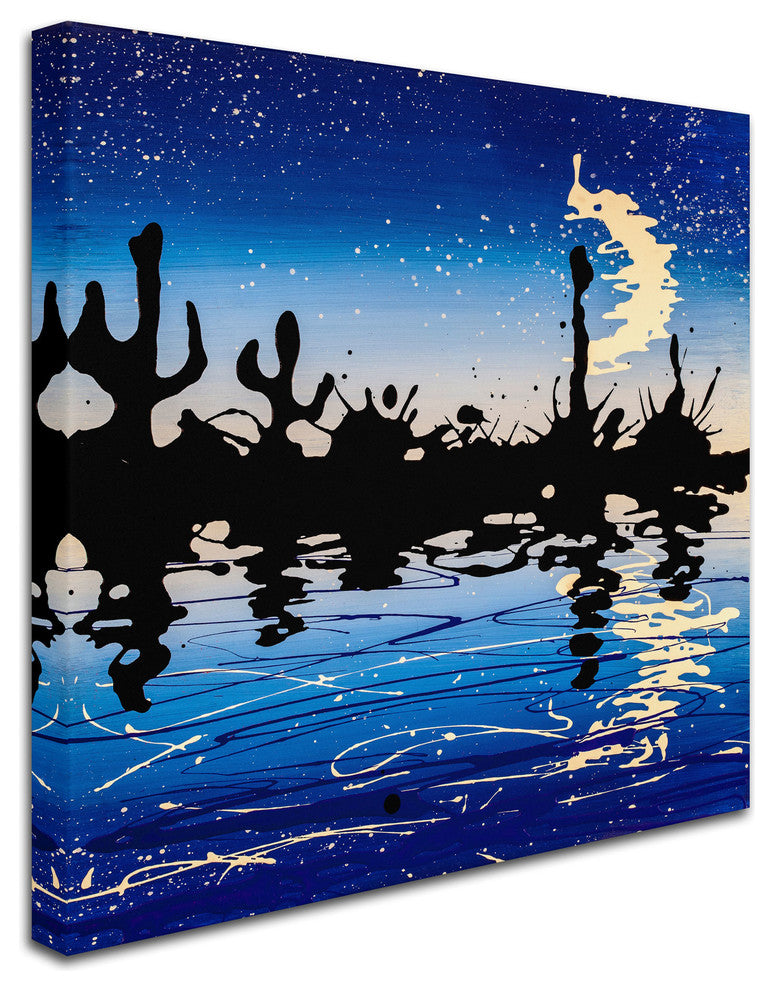 'Desert Crescent Moon Lake' Canvas Art by Roderick Stevens