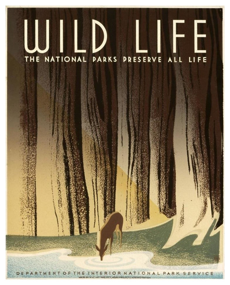 "Wild Life; The National Parks Preserve All Life, 1936-1940" Paper Art, 24"x30"