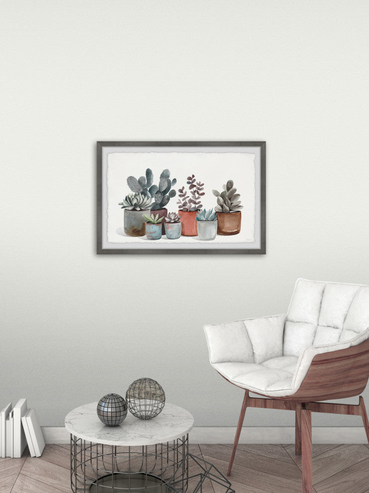 "Succulent Plants Display" Framed Painting Print