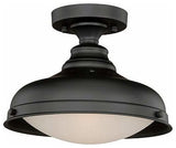 Keenan 1-Light Semi-Flush Mount