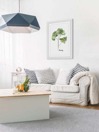 "Herb Parsley" Framed Print by Rachel Byler