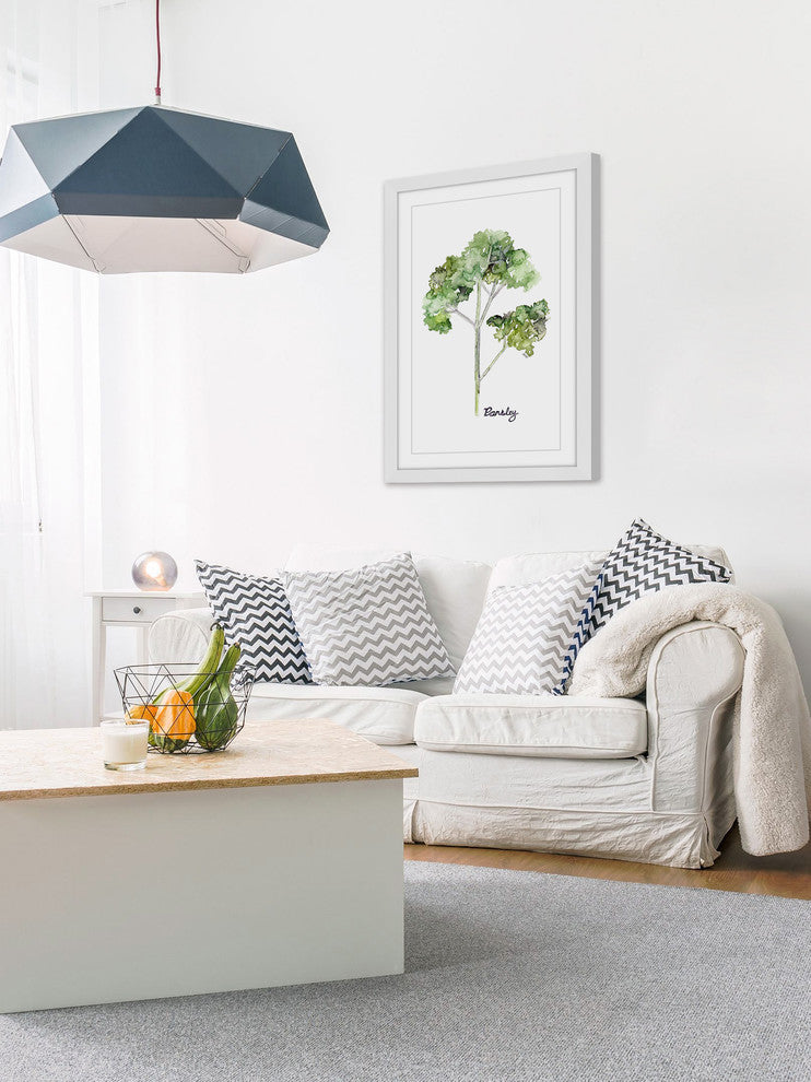 "Herb Parsley" Framed Print by Rachel Byler