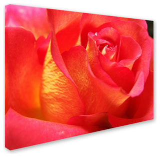 'Empowering Heart' Canvas Art by Monica Fleet