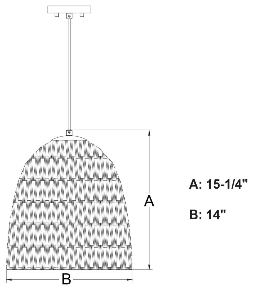 Vaxcel Lighting P0404 Nassau 14"W Pendant - Matte Black