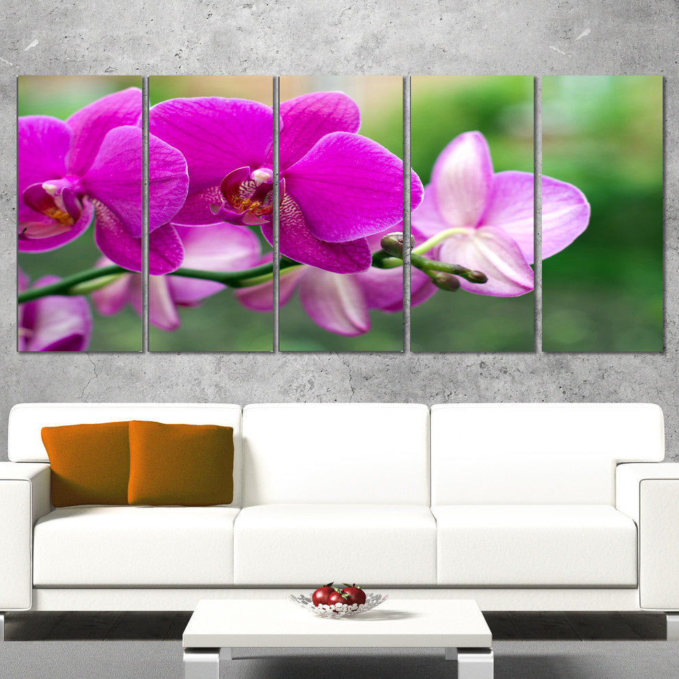 Beautiful Orchid Flowers on Green, Large Floral Canvas Print, 60"x28", 5 Panels