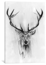 "Red Deer" by Alexis Marcou, Canvas Print, 40"x26"