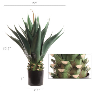 White background with dimensional measurements and close-up inset; schematic/diagram style.