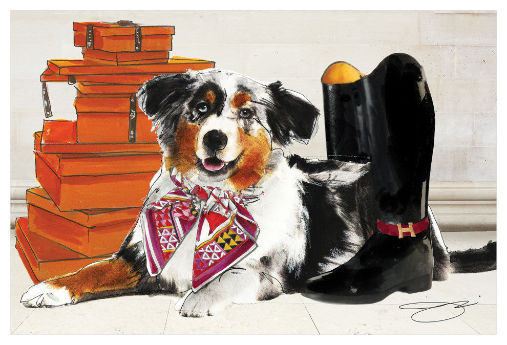 "Border Collie" Dog Wall Art Print Frameless Free Floating Tempered Glass Panel
