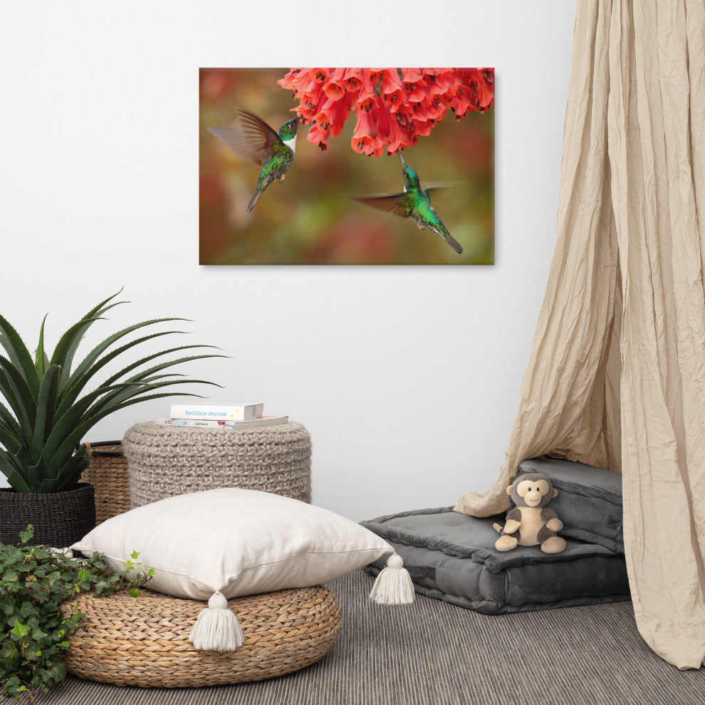 Hummingbirds Reddish-Orange Flowers Animal Wildlife Photo Canvas Wall Art Print, 24" X 36"