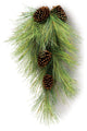 Woodsy Needle Pine Teardrop