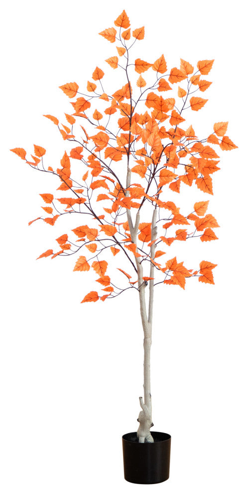 Full tree visible on white background; clear representation of the product.