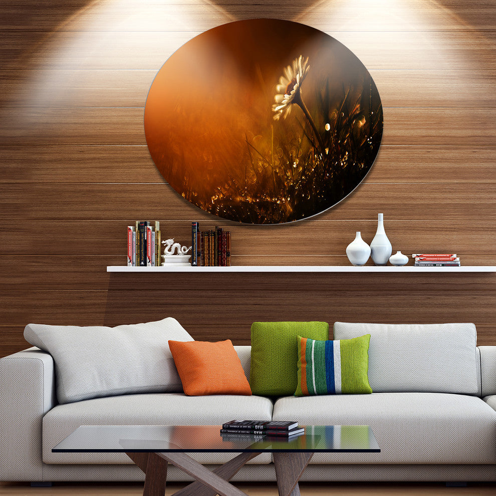 White Wild Flower At Sunset After Rain, Flower Round Wall Art, 23"