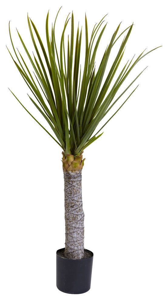 3' Yucca Tree With 699 Lvs