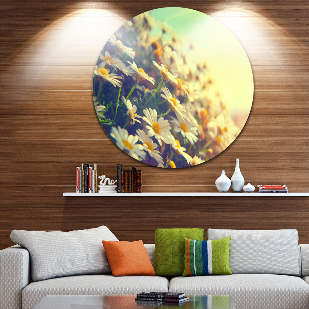 Nature With Blooming Chamomiles, Floral Disc Metal Wall Art, 11"
