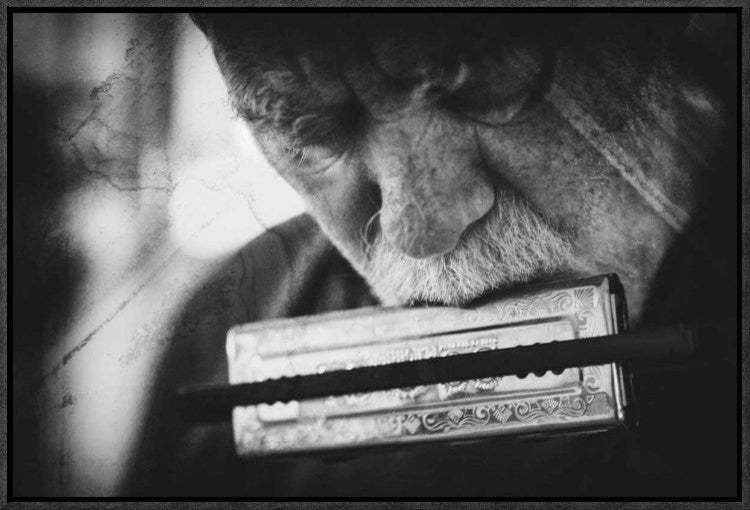 "Wolf With Harmonica"  by Roswitha Schleicher-Schwarz, 23x16"