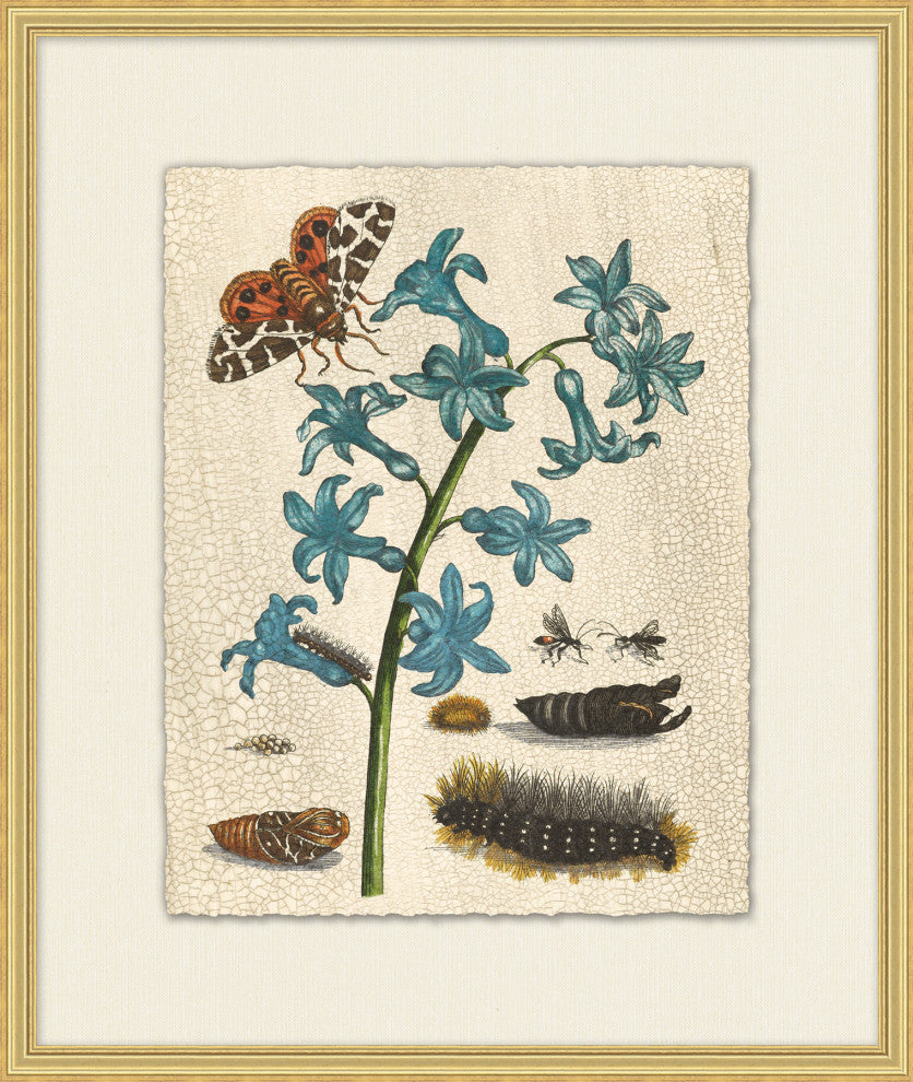 Prevailing Nature 3, Giclee Reproduction Artwork