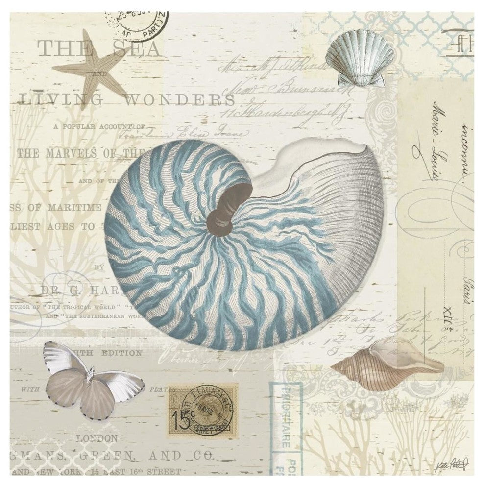 "Beach Wonders IV" Digital Paper Print by Katie Pertiet, 32"x32"