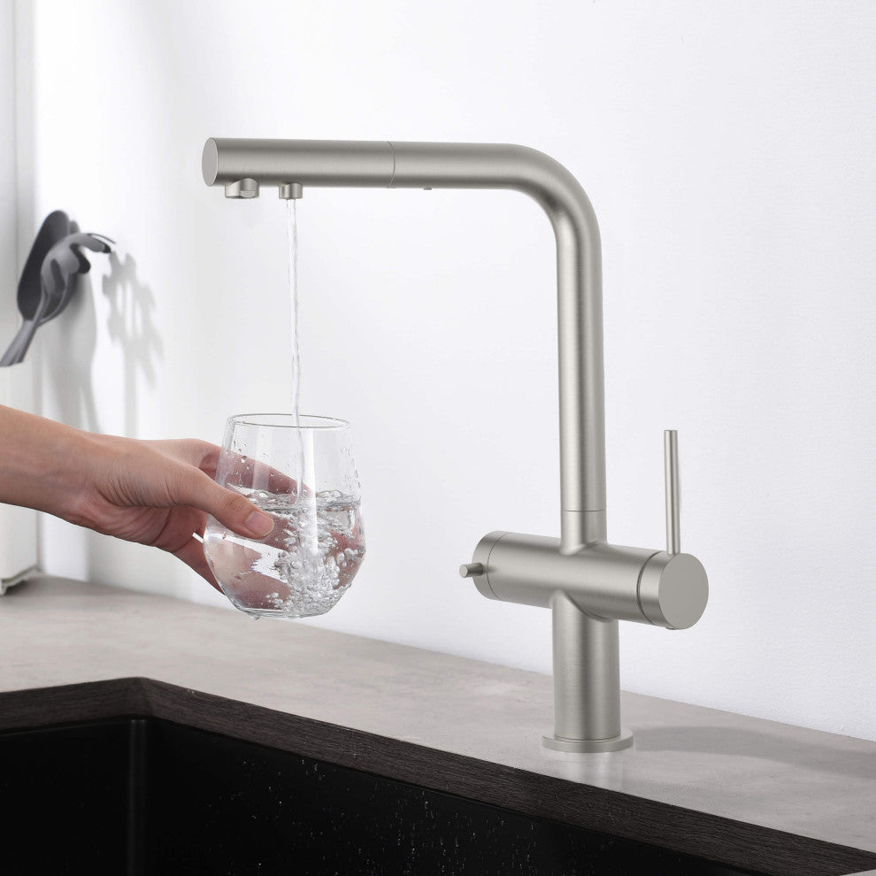 Circular 2-in-1 Water Filter Kitchen Pull Out Faucet, Brushed Nickel