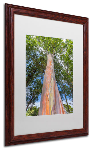 Pierre Leclerc 'Rainbow Tree' Matted Framed Art, Wood Frame, White, 20x16