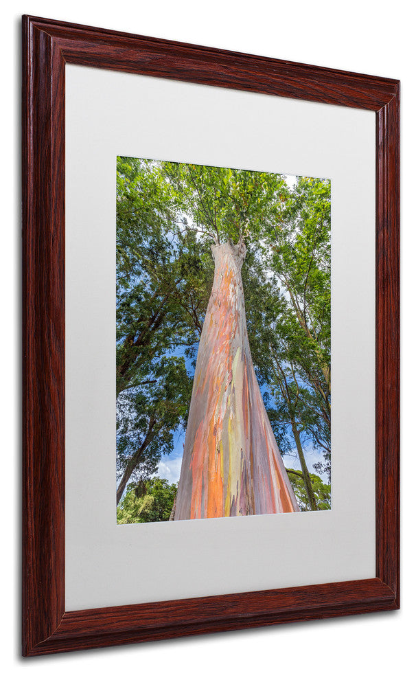 Pierre Leclerc 'Rainbow Tree' Matted Framed Art, Wood Frame, White, 20x16