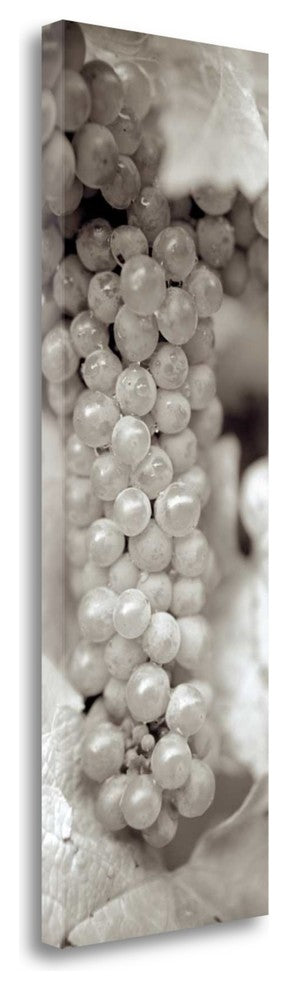 "Grapes Pano - 12" By Alan Blaustein, Giclee Print on Gallery Wrap Canvas