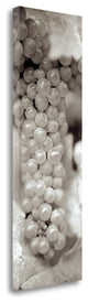 "Grapes Pano - 12" By Alan Blaustein, Giclee Print on Gallery Wrap Canvas