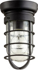 Bowery 1-Light Ceiling Mount, Noir