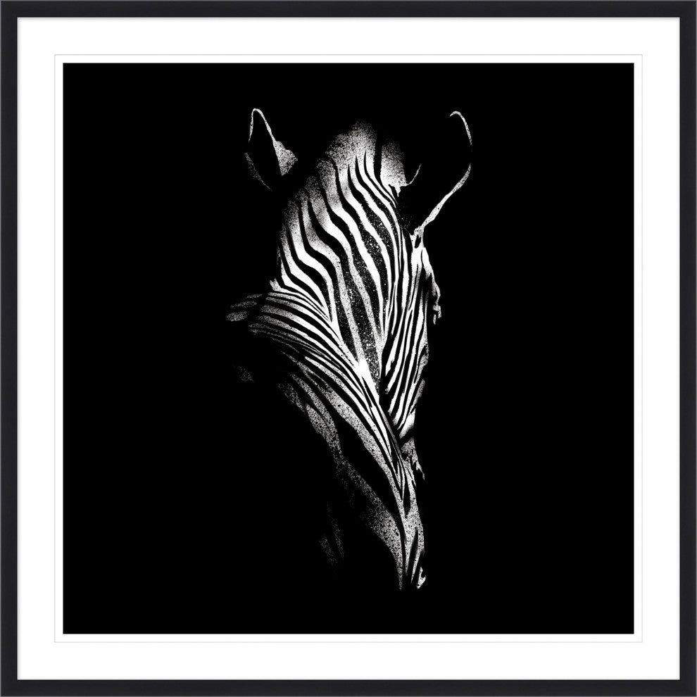 Zebra Single