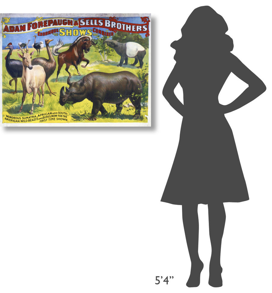 American Wild Beasts And Birds, 36x27