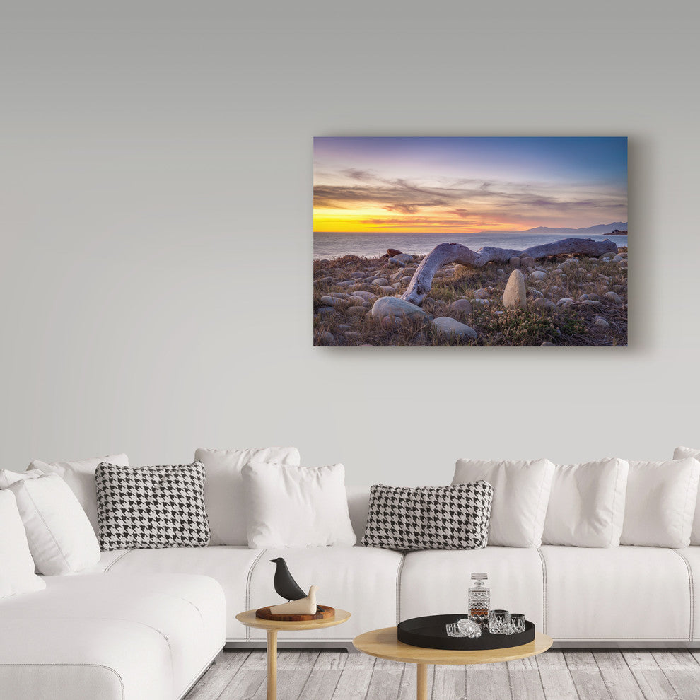 Chris Moyer 'Driftwood January' Canvas Art, 47"x30"