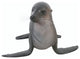 Baby Fur Seal Statue