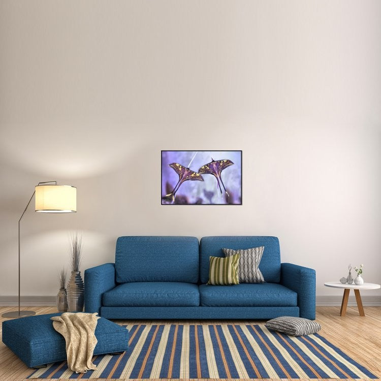 Actias, 36"x24"