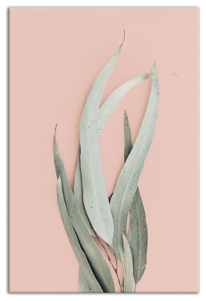 Leaf With Blush 20x30 Canvas Wall Art