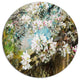 Apple Blossoms With White Flowers, Floral Round Wall Art, 11"