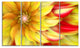 Rotating Yellow Red Fractal Flower, Floral Canvas Art Print, 48"x28", 4 Panels